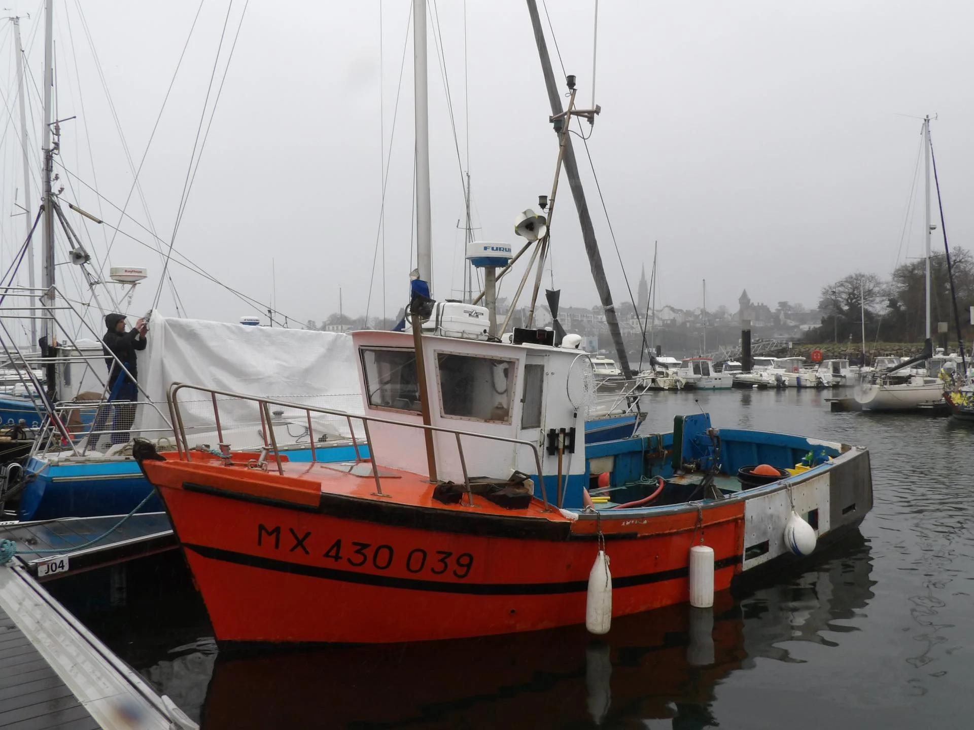 260211 coralline mx430039 treboul d