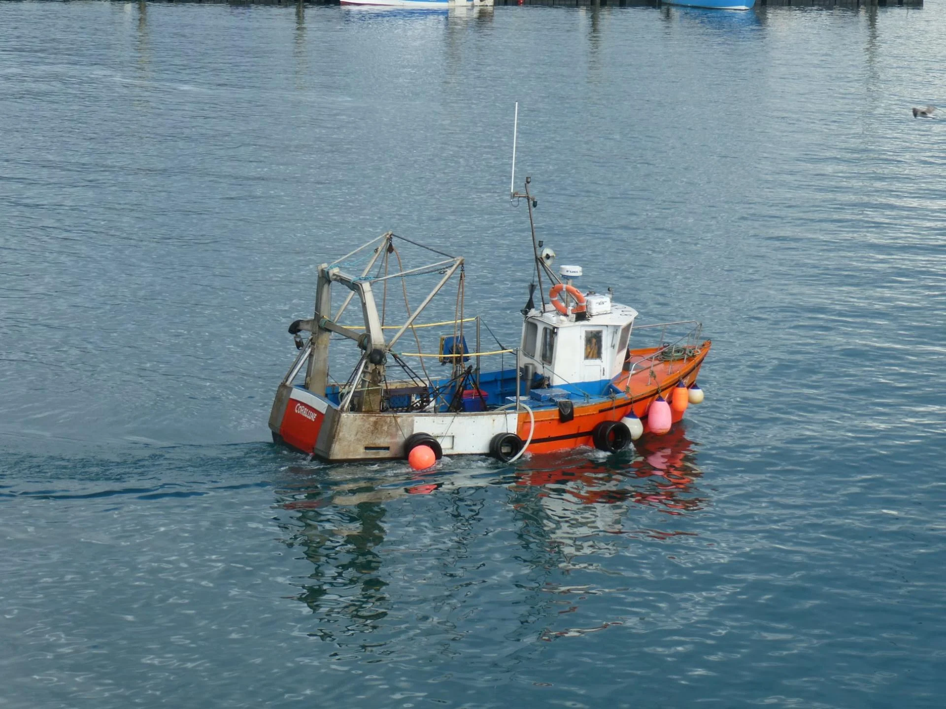 Mx430039 coralline eric pekin 03 11 2021